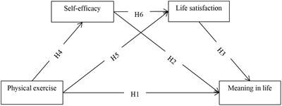 Physical exercise can enhance meaning in life of college students: the chain mediating role of self-efficacy and life satisfaction